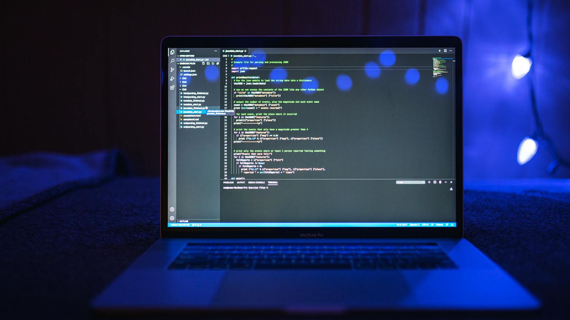Software Development